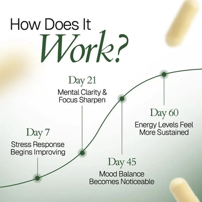 VigorNatura Saffron+ Advanced Supplements