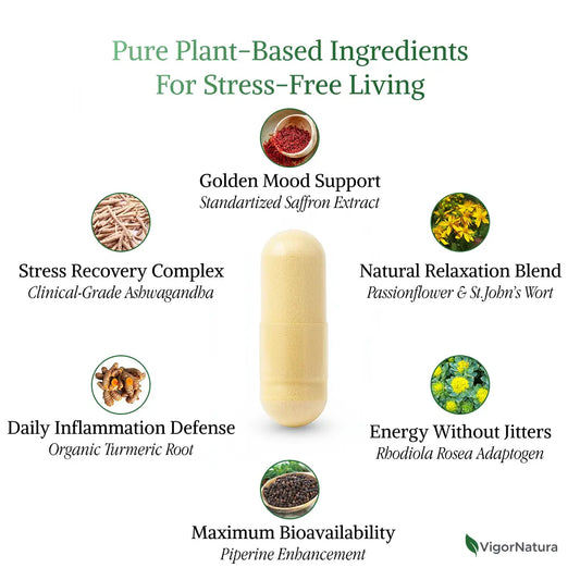 VigorNatura Saffron+ Advanced Supplements