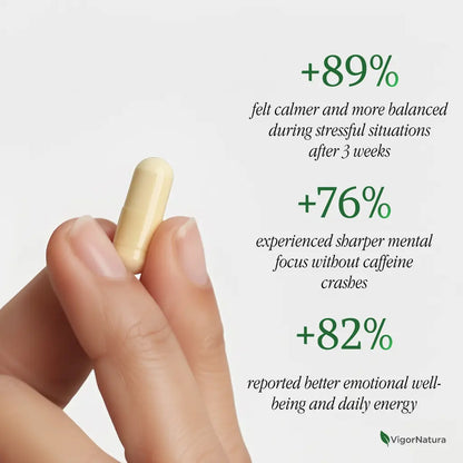 VigorNatura Saffron+ Advanced Supplements