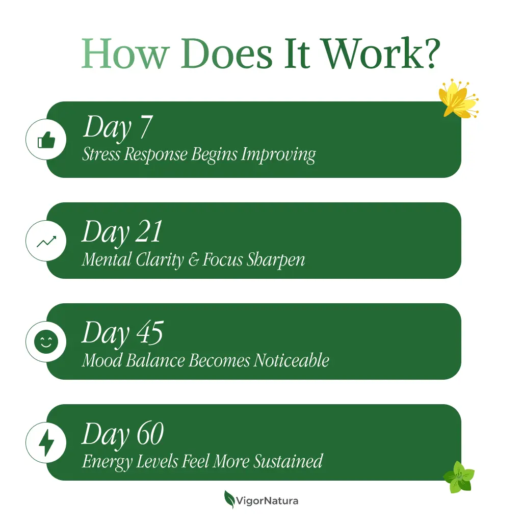 VigorNatura Saffron+ Advanced Supplements